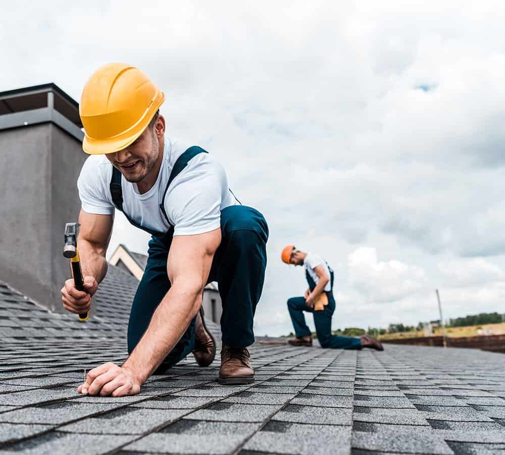 roofing-professionals roofing-professionals